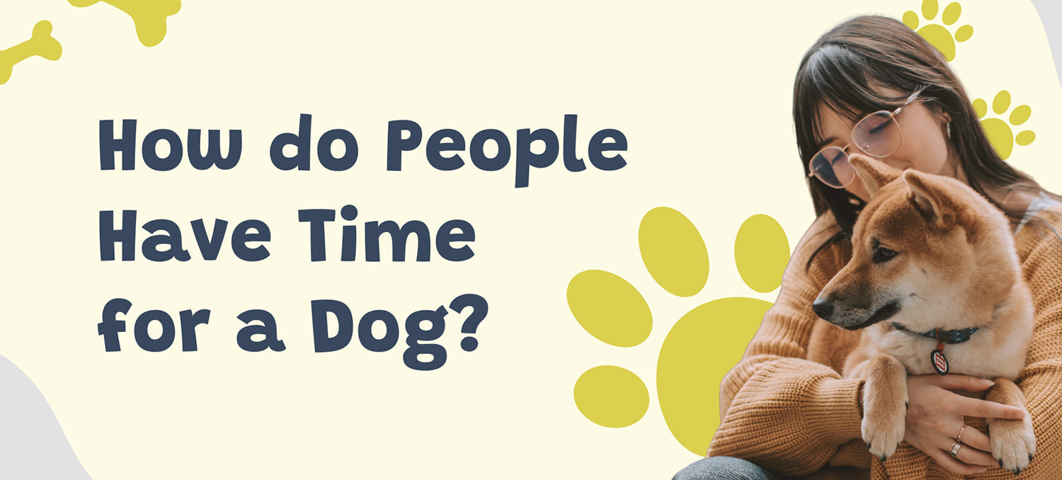 How do People Have Time for a Dog?