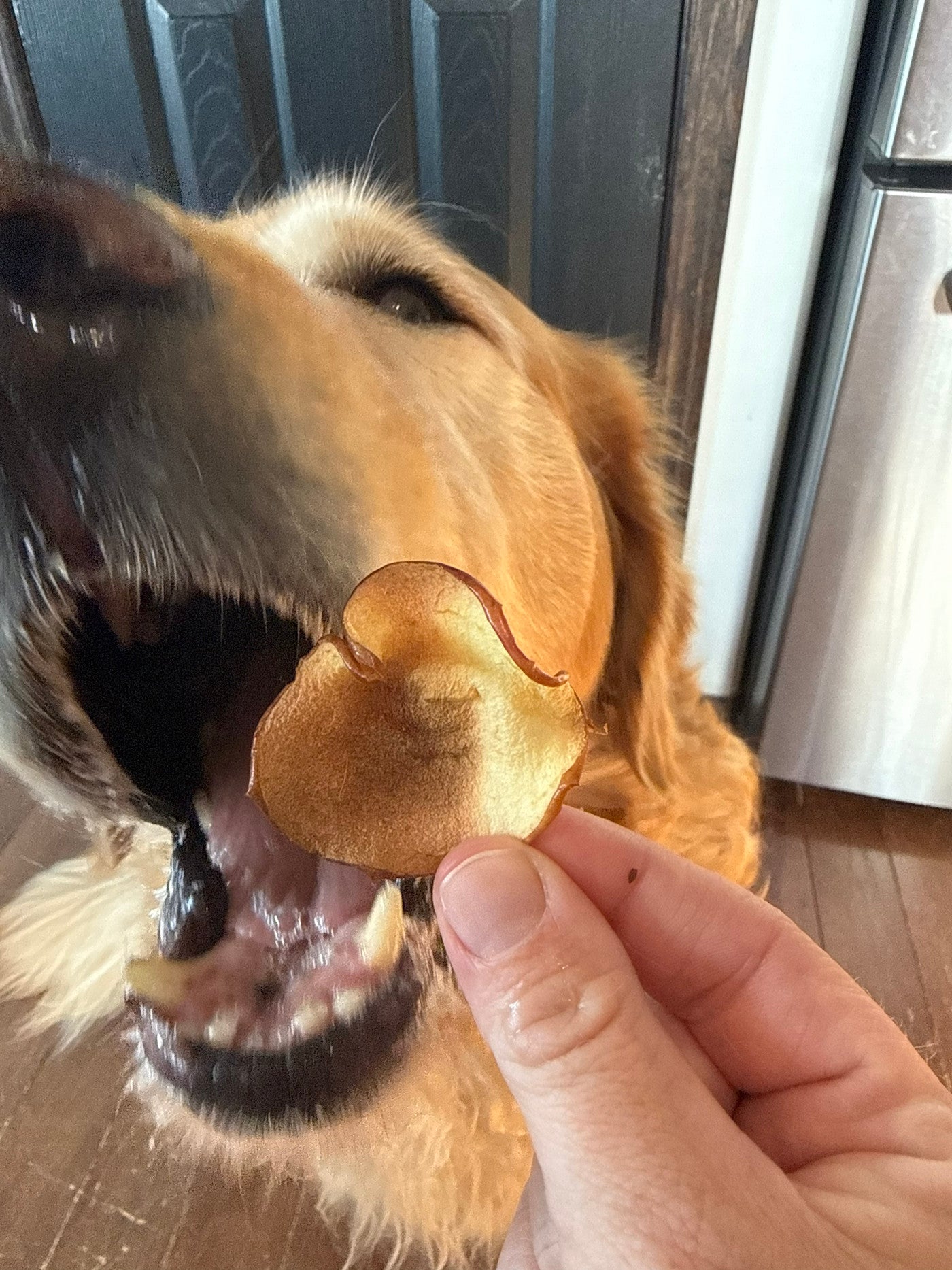 Apple Chips Recipe