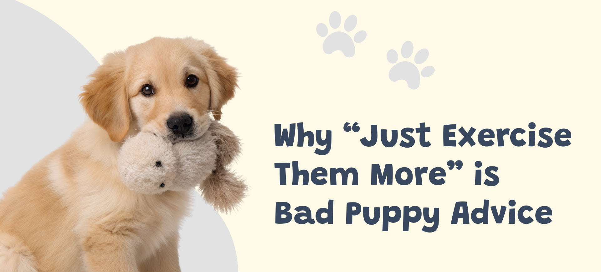 Why “Just Exercise Them More” Is Bad Puppy Advice