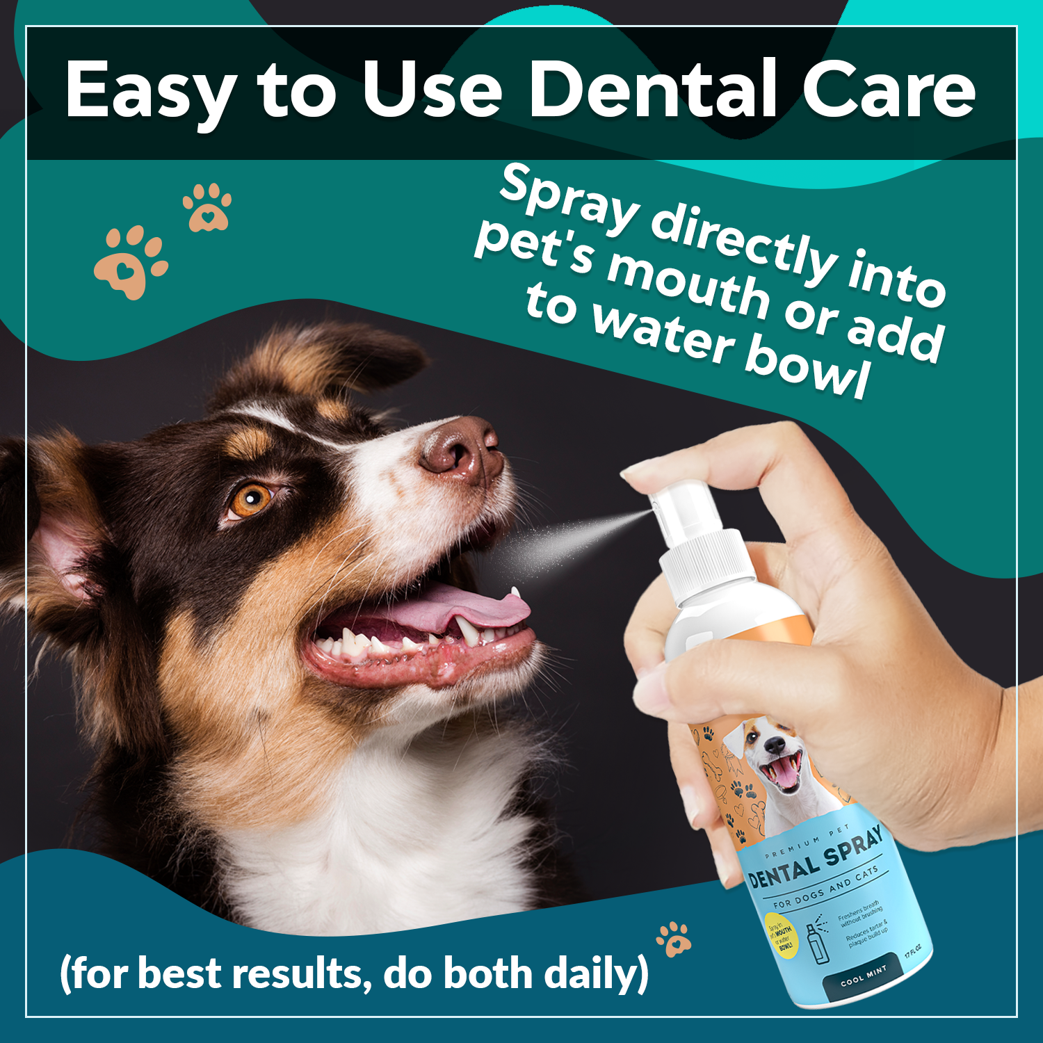 Easy to use dental care