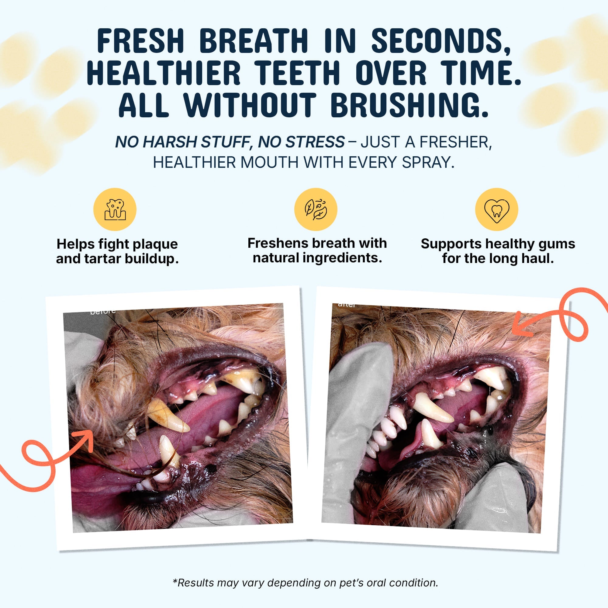 Fresh breath in seconds