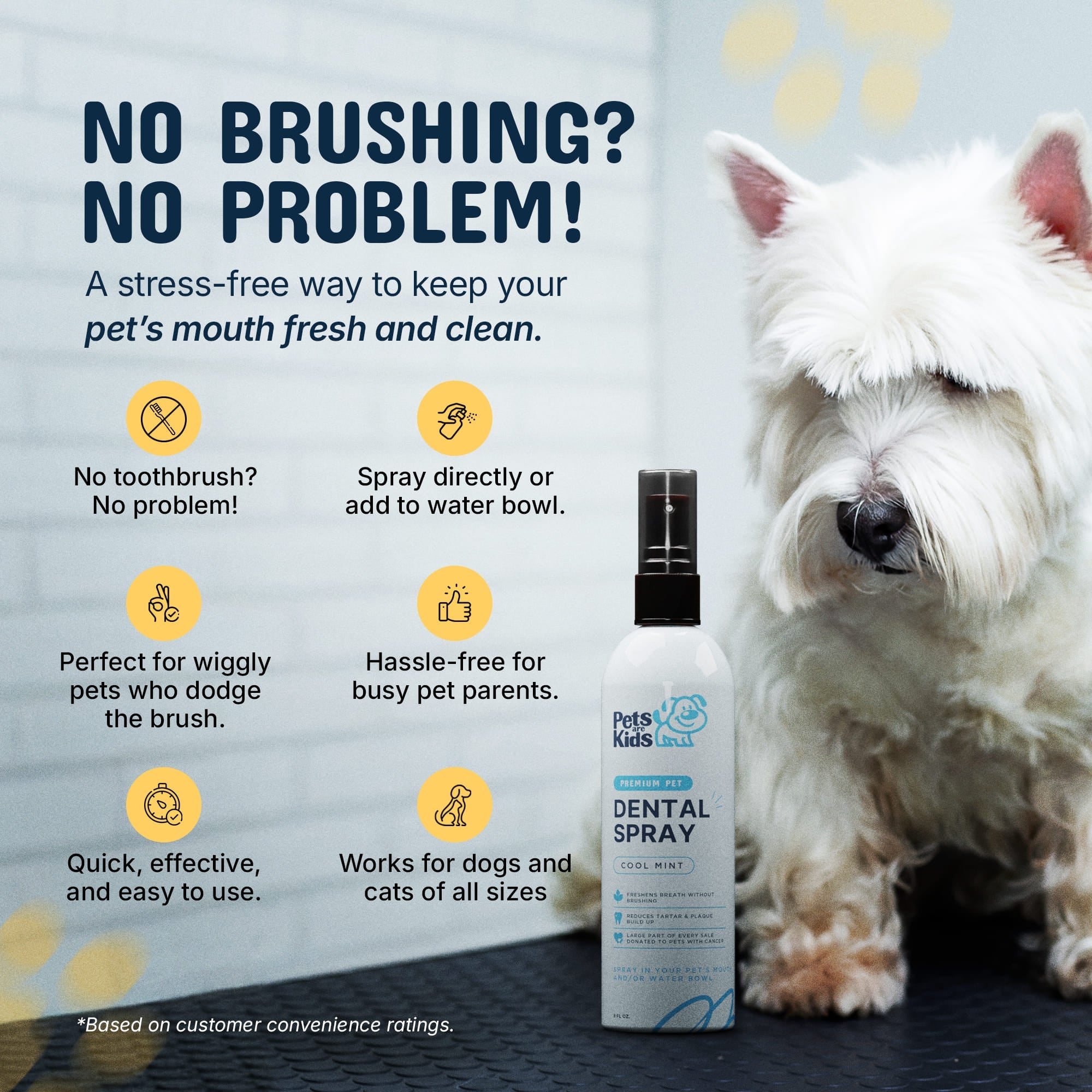 No brushing no problem