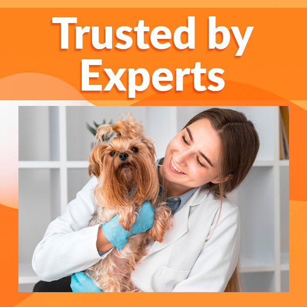 Trusted by Experts