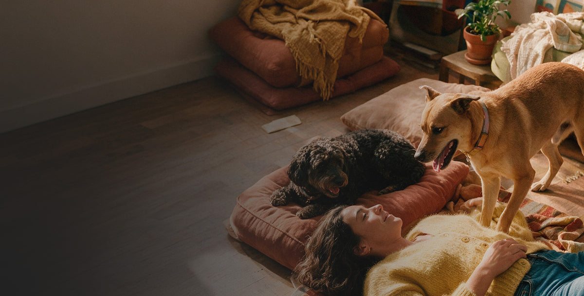 Woman on a floor with dogs