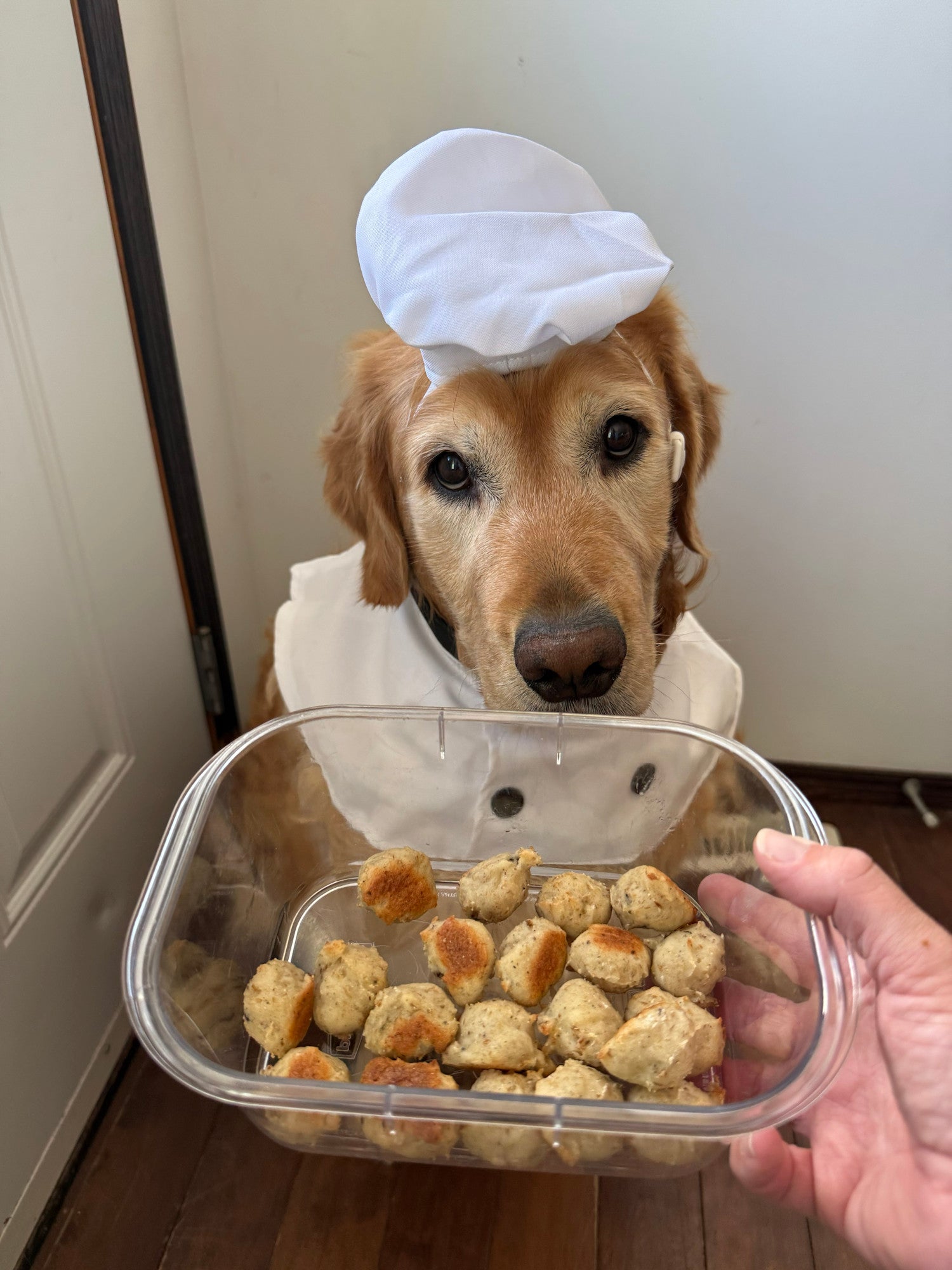 High Protein Dog Cookies Recipe