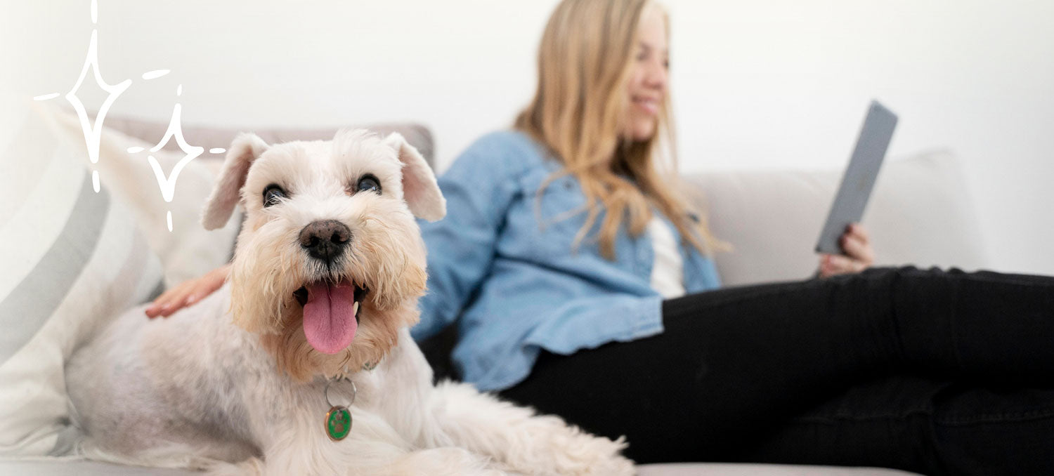 Guide for Paranoid Pawrents