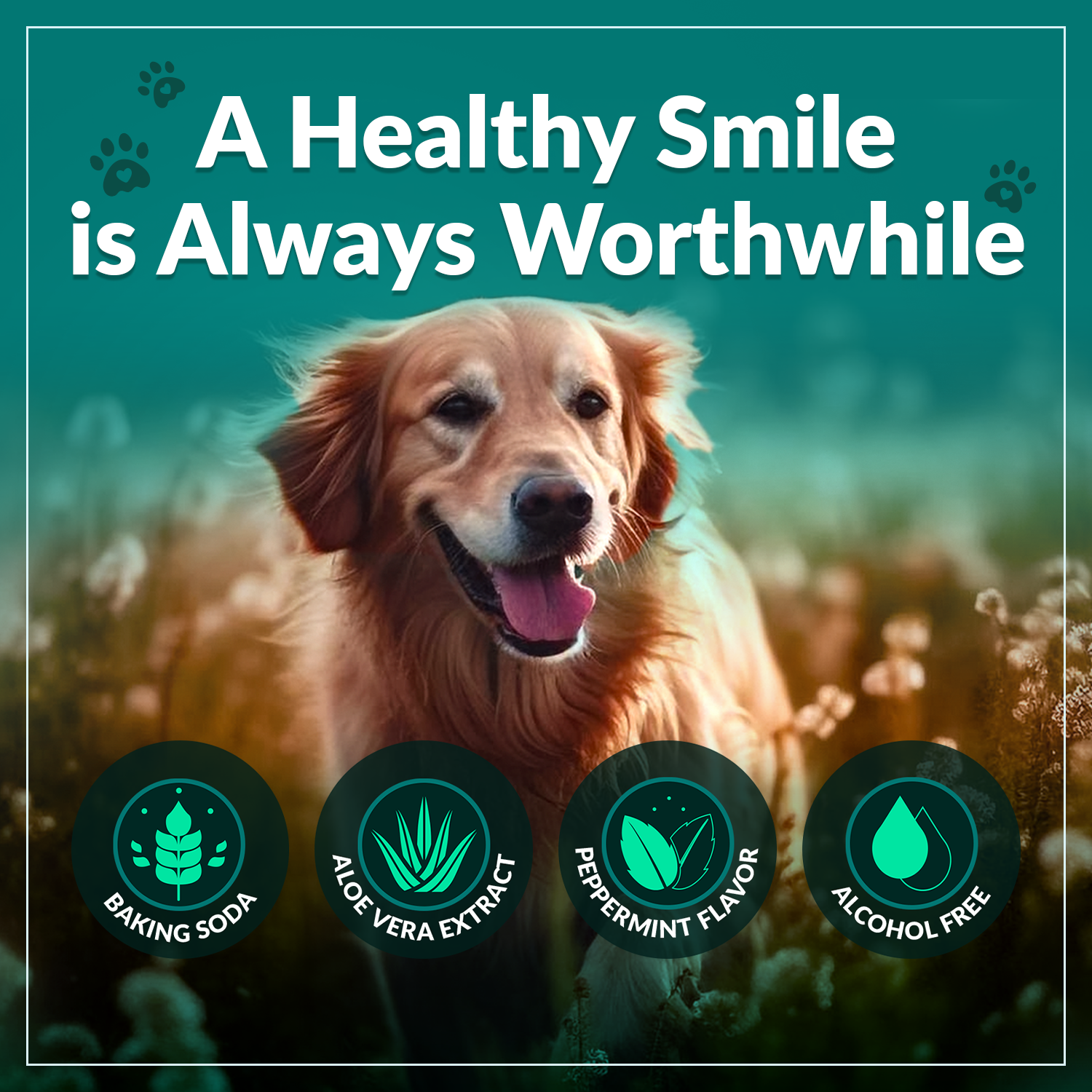 A healthy smile is always worthwile
