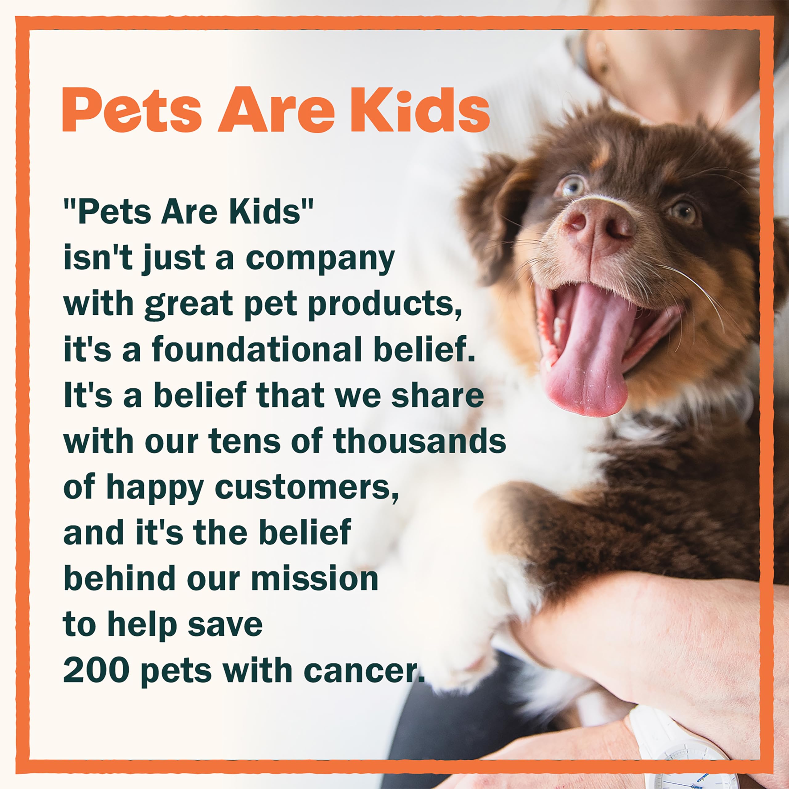 Pets are kids