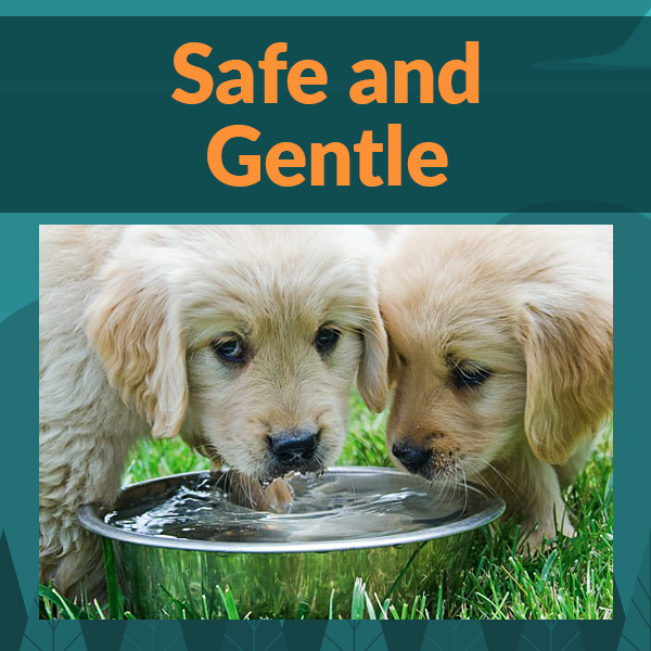 Safe and Gentle