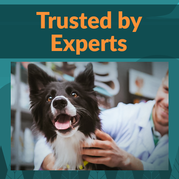 Trusted by Experts
