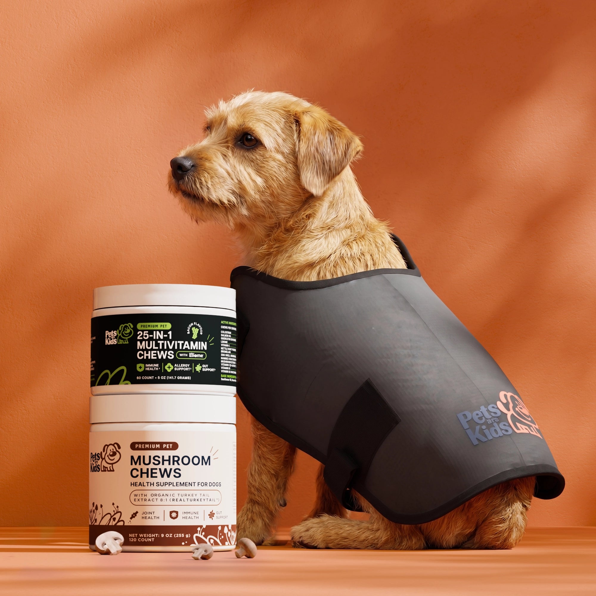 Good Doggo Recovery Bundle