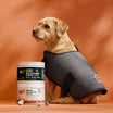 Good Doggo Recovery Bundle