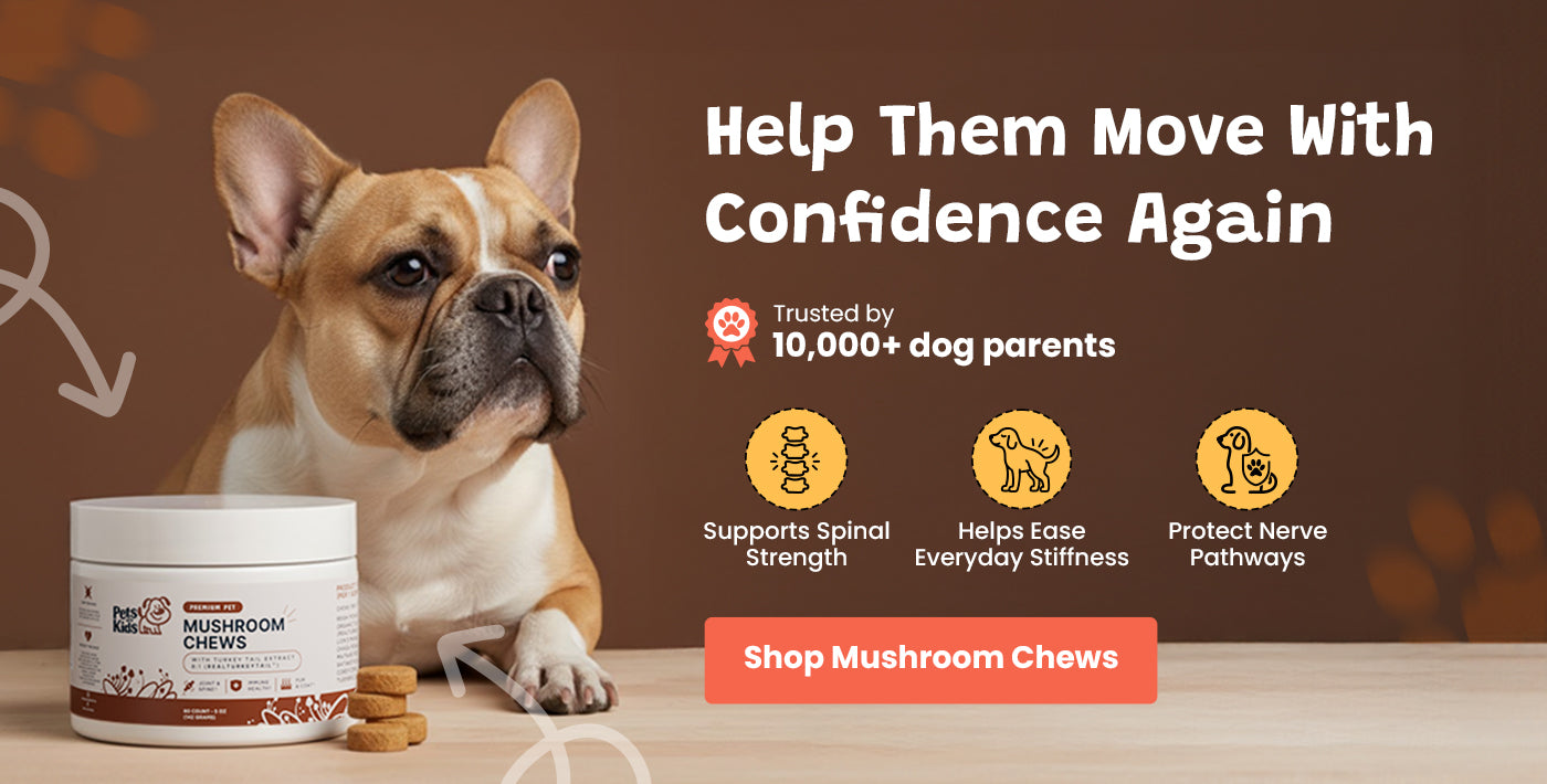 Help Them Move With Confidence Again