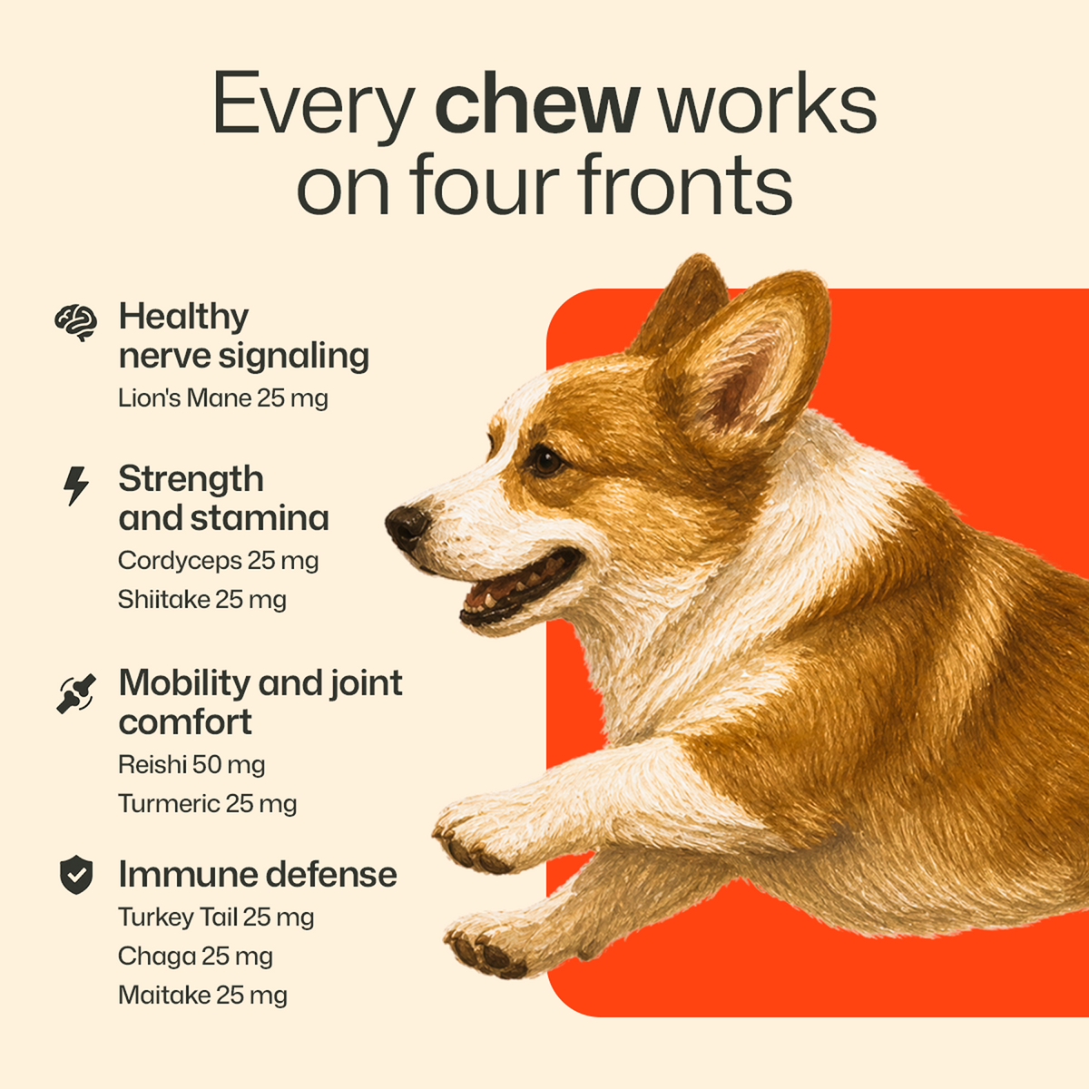 Mushroom Chews