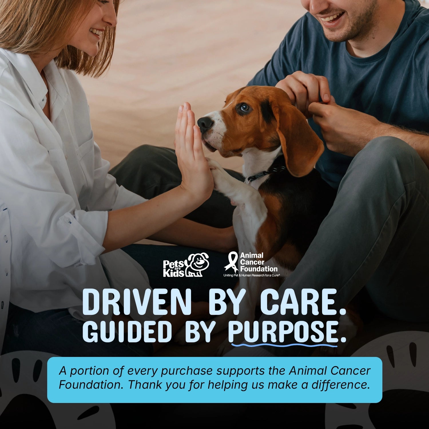 Animal Cancer Foundation support