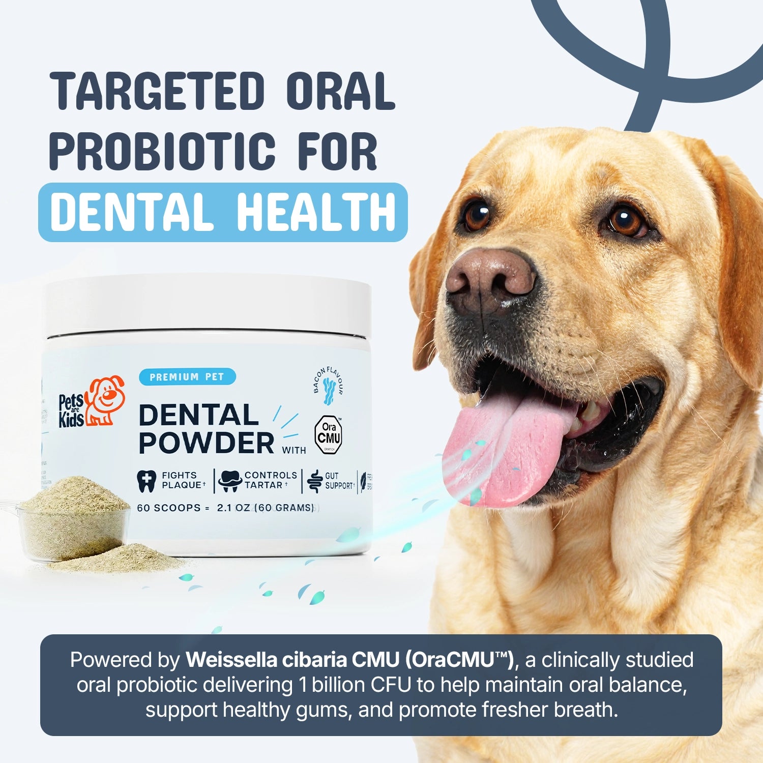 Dental health probiotic
