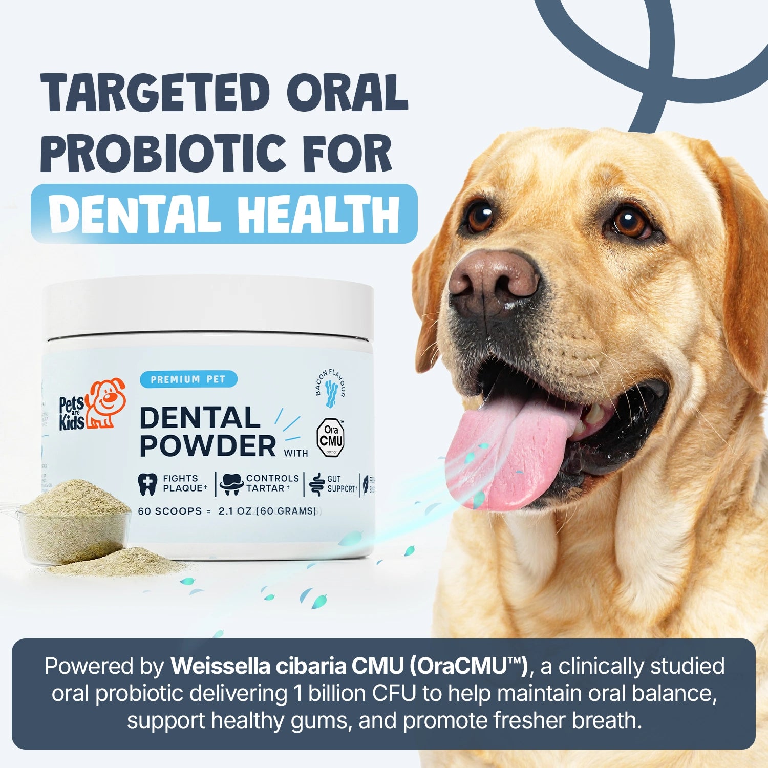 Powered by Weisella cibaria CMU