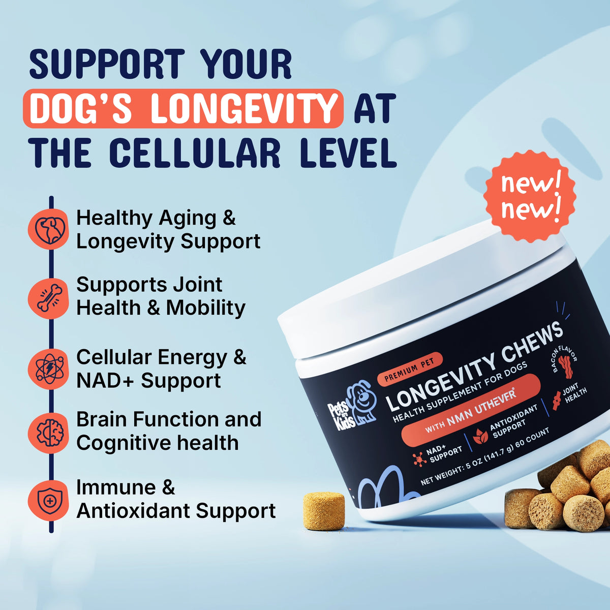 Support dog's longevity at the cellular level