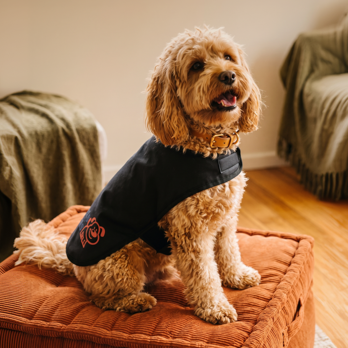 Red Light Therapy Vest