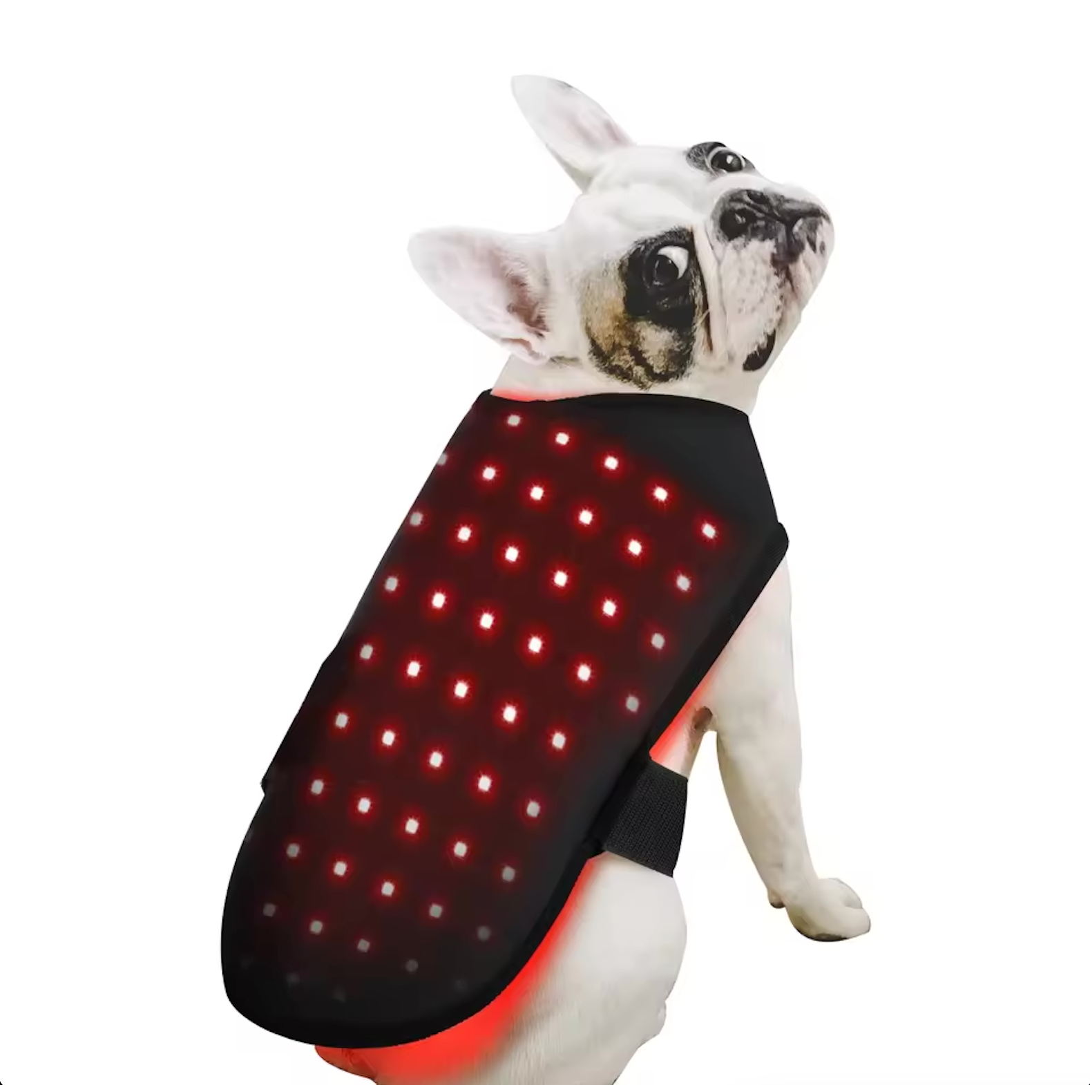 IVDD Red Light Therapy Defense™