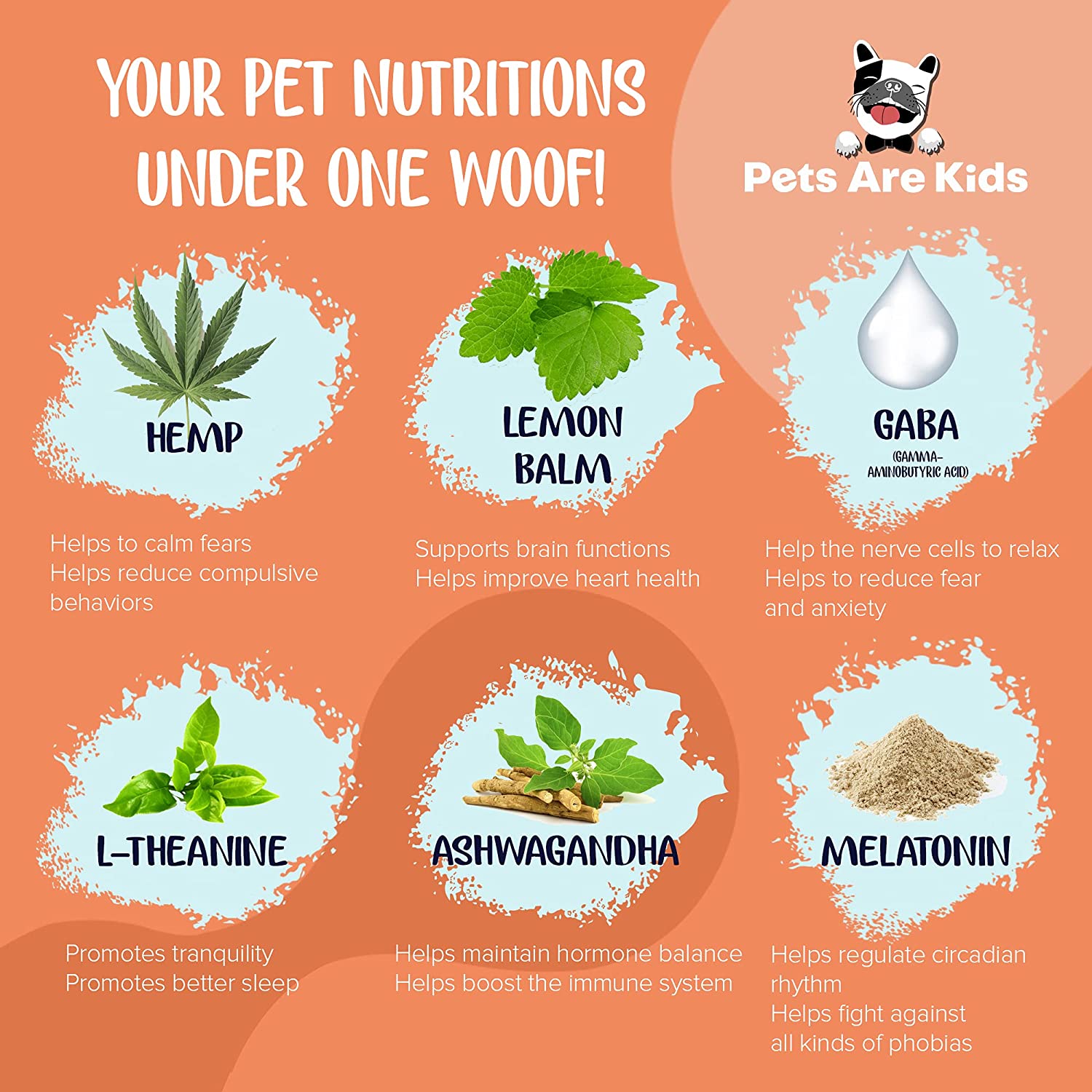 Your pet nutrition under one woof